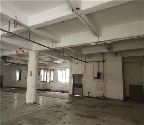 日照市廠房驗廠安全檢測鑒定收費標準解析及建筑材料安全新規引關注